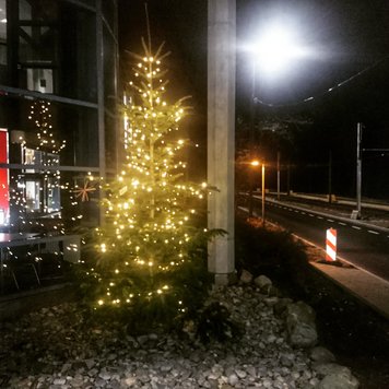 Der BECI-Weihnachtsbaum 2018